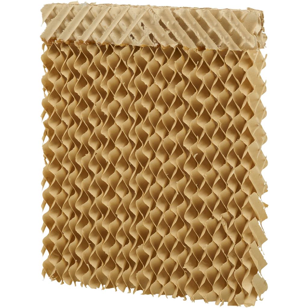 xx-5470005_0.jpg