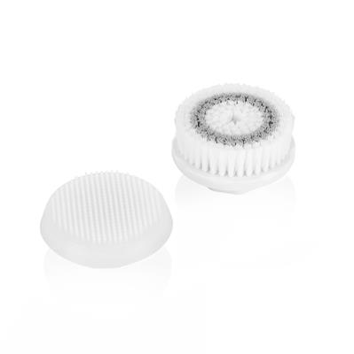Tristar XX-2397556 2 replacement brushes