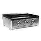 FireFriend BQ-6395DU Plancha gaz